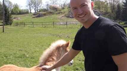 Cet homme est incroyable. Il sait parler aux chevaux