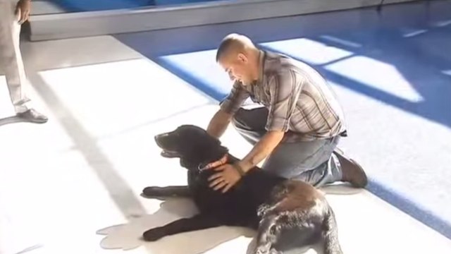 Ce soldat revoit enfin le chien avec lequel il a travaillé pendant la guerre. Leurs retrouvailles sont bouleversantes