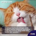 Cowok Jengkel Kucing Peliharaan Masuk Speaker Tak Bisa Keluar, Warganet Cari Live Musik