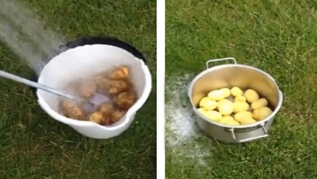 Épluchez des pommes de terre est une véritable corvée pour vous ? Cette astuce va vous changer la vie
