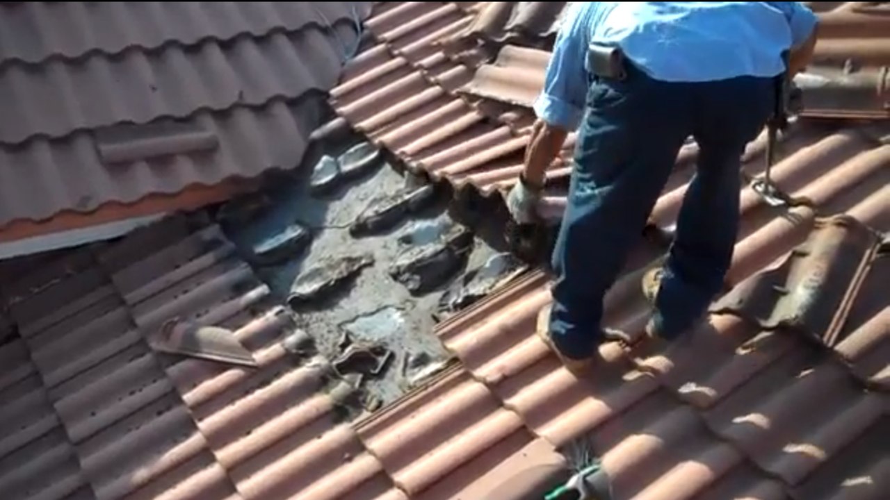 A Miami, ces gens ont eu une drôle de surprise. Vous ne devinerez jamais ce qui se cachait sous leur toit