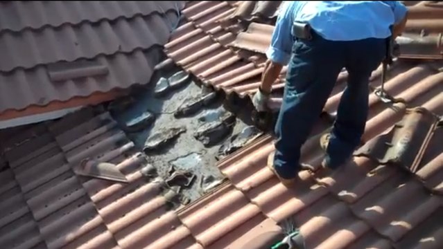 A Miami, ces gens ont eu une drôle de surprise. Vous ne devinerez jamais ce qui se cachait sous leur toit