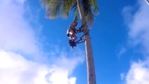 Cet homme a trouvé la technique pour escalader un cocotier sans se fatiguer. Et ça marche !