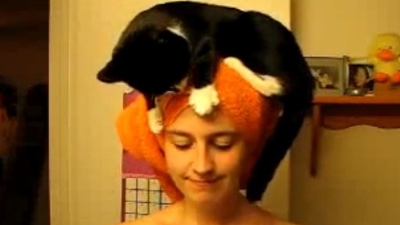 Ce chat a un rituel très étrange quand sa maîtresse est dans la salle de bain. Vous n'allez pas en revenir