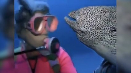 Cette plongeuse s'est liée d'amitié avec un poisson. Vous n'allez pas en revenir