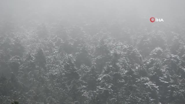Aydos Ormanına yeniden kar yağmaya başladı- İstanbul'da yüksek kesimler yeniden beyaza büründü