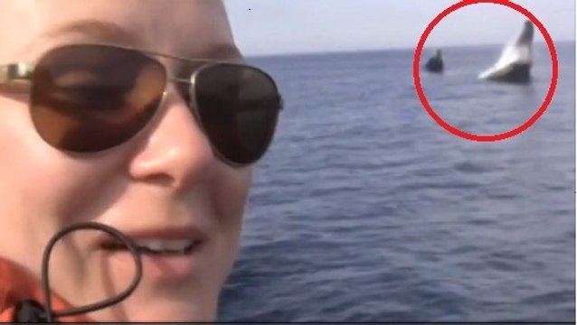 Ce couple de kayakistes a été soulevé par une baleine en pleine mer. Vous n'allez pas en revenir