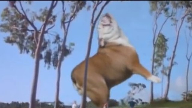 Un homme incruste son chien dans une scène du film Jurassic Park. Vous n’allez pas en revenir