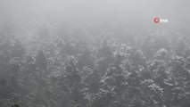 Aydos Ormanına yeniden kar yağmaya başladı- İstanbul'da yüksek kesimler yeniden beyaza büründü