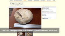 Leboncoin : un oeuf de dinosaure mis en vente