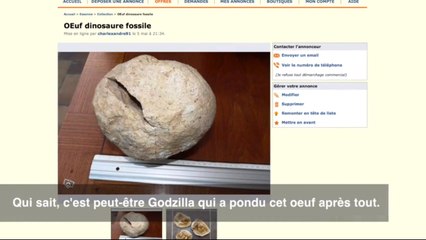 Leboncoin : un oeuf de dinosaure mis en vente