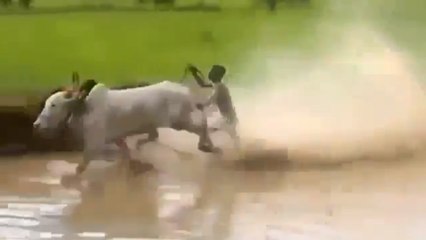 Ces hommes font du ski nautique de façon hallucinante. Vous n'allez pas en revenir