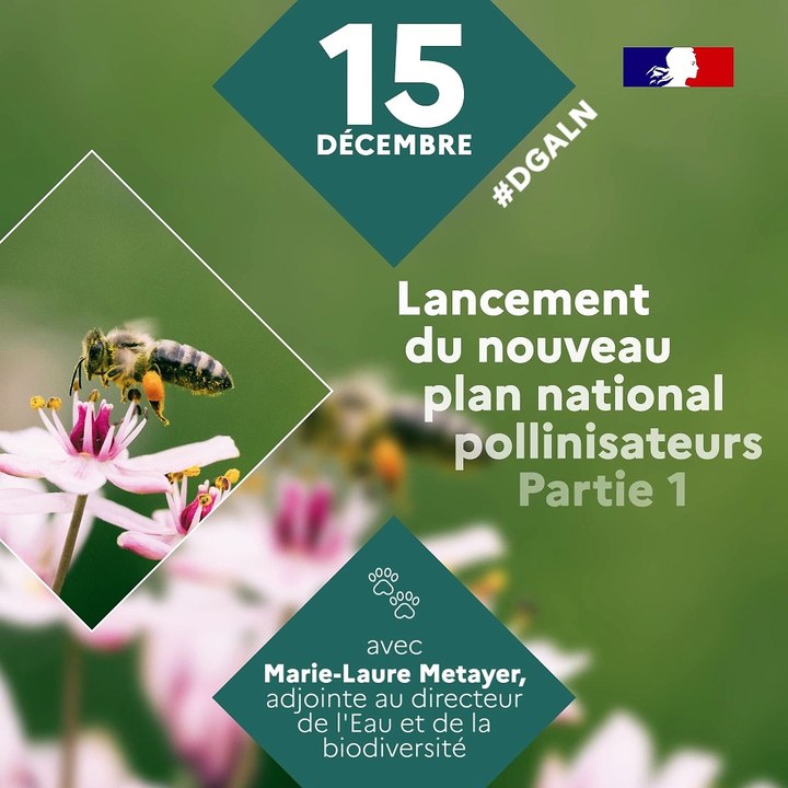 Plan National Pollinisateurs 1 #Réussites2021