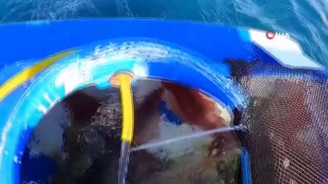 Türk balıkçı teknesini taciz eden Yunan Sahil Güvenliğini böyle geri püskürttü