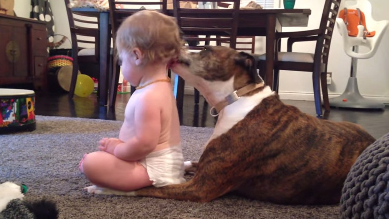 Cette petite fille a une relation particulière avec ce chien. Vous n'allez pas en revenir