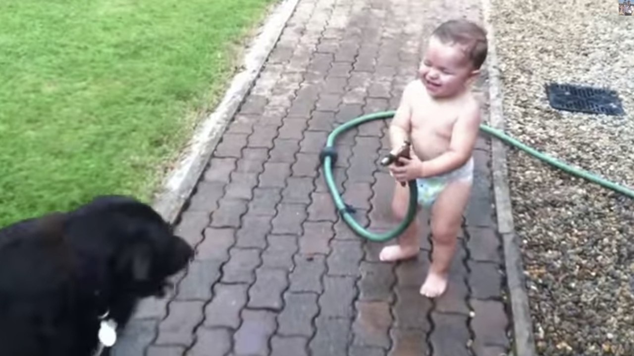 Ce bébé adore arroser les chiens de la famille...