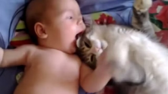Ce chaton se retrouve pour la première fois avec ce bébé. Sa réaction va vous faire fondre