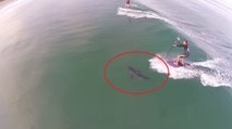 Ce surfeur est passé à quelques mètres d'un requin. Une situation hallucinante !