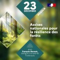 Assises de la Forêt et du Bois  #Réussites2021