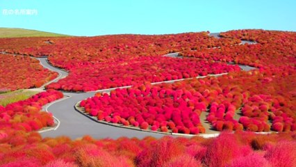 Ce paysage semble issu d'une carte postale, mais la vérité est toute autre. Vous n'allez pas en revenir