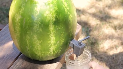 Découvrez comment réaliser une tireuse à boissons... avec une simple pastèque !