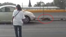 Pour sauver un chien, cette femme a mis sa vie en danger. Un courage héroïque