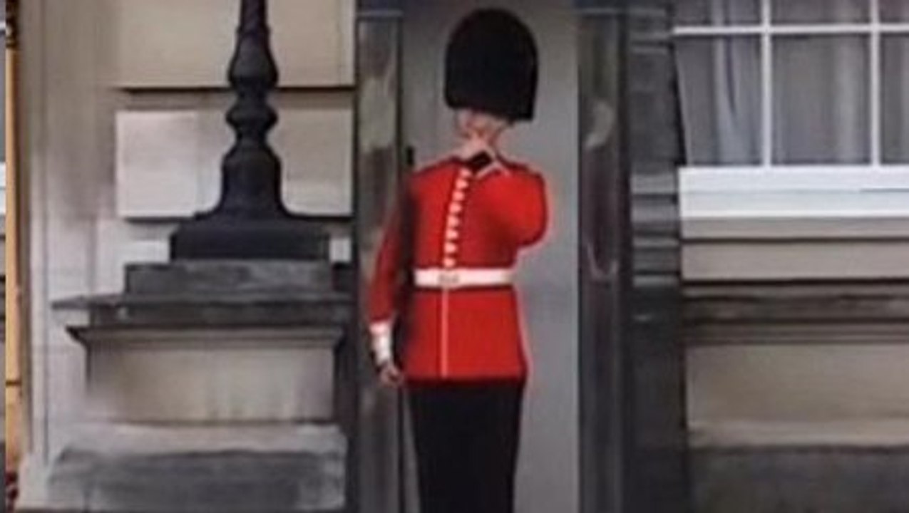 Ce Garde Royal s'ennuyait. C'est alors qu'il a décidé de se lâcher !
