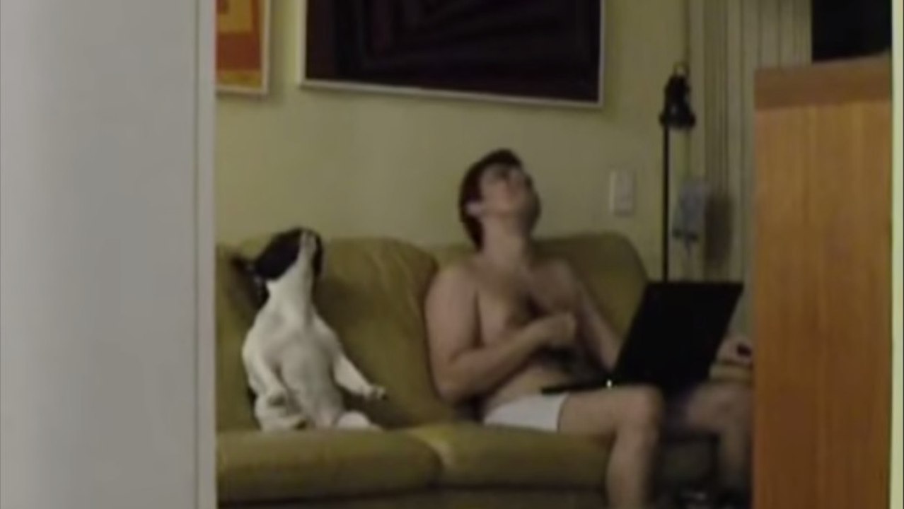 Un chien danse avec son maître sur une musique rap. Et ils ont le sens du rythme !