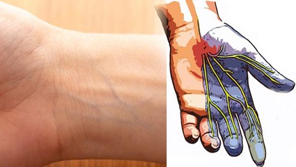 आपकी नसें नीली क्यों दिखने लगती है, क्या है नसों का असली रंग | Boldsky