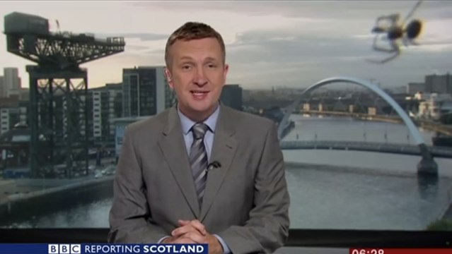 Ce présentateur télé s'est fait voler la vedette par une araignée en plein direct. Frissons garantis !