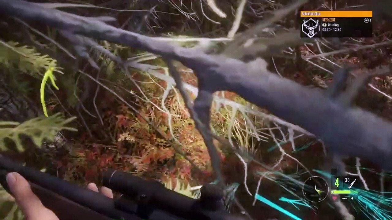 theHunter_ Call of the Wild Chapter 2 Whitetail Deer! second time!