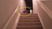 Ce bébé descend les escaliers à sa façon. Et sa méthode va vous laisser perplexe