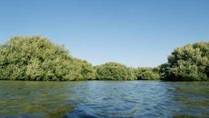 تعرّف على أبرز الأراضي الرطبة في الإمارات في يومها العالمي