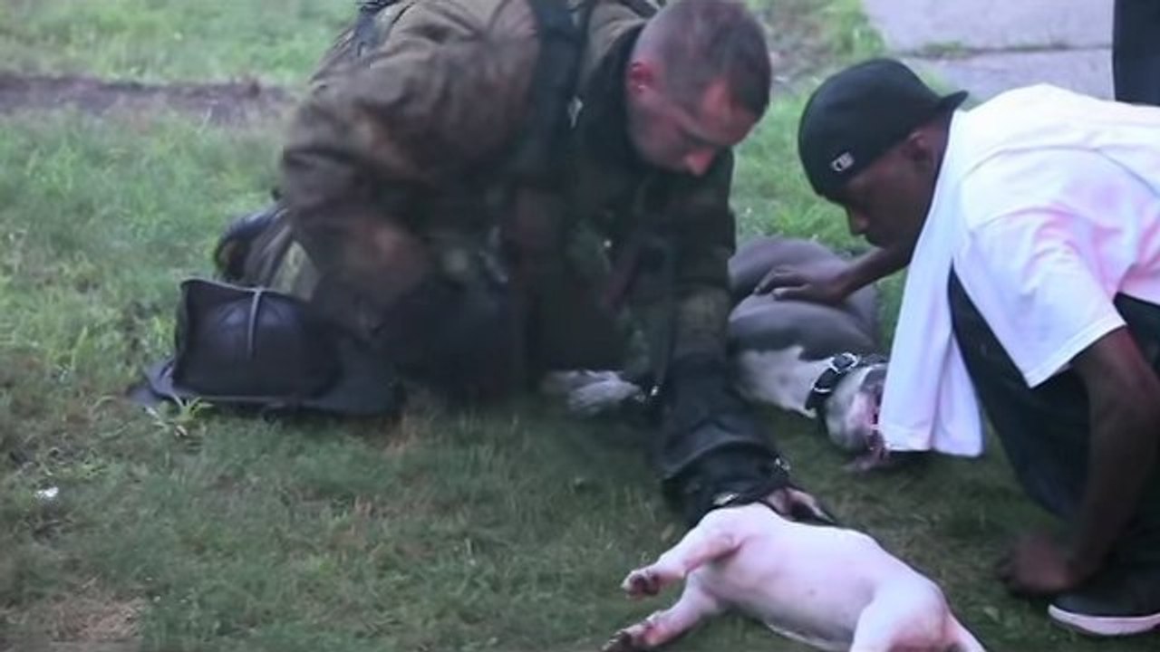 Ce pompier est un véritable héros. En plein incendie, il n'a pas hésité à sauver la vie de deux chiens