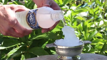 Voici l'astuce pour faire de la glace instantanément. Incroyable !