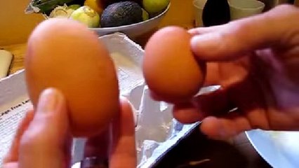 Un homme découvre un étrange grand œuf. Vous ne devinerez jamais ce qu'il y a à l'intérieur