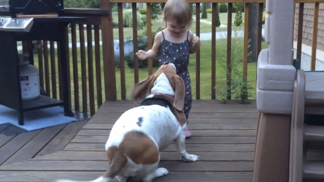 Ce chien et cette petite fille adorent danser ensemble. Ils sont adorables