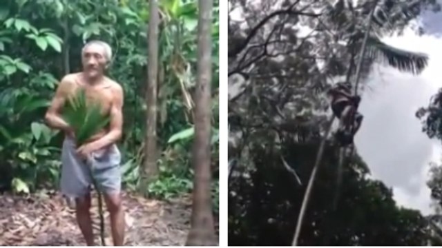Ce papy grimpe aux arbres comme personne. Il va vous faire halluciner !