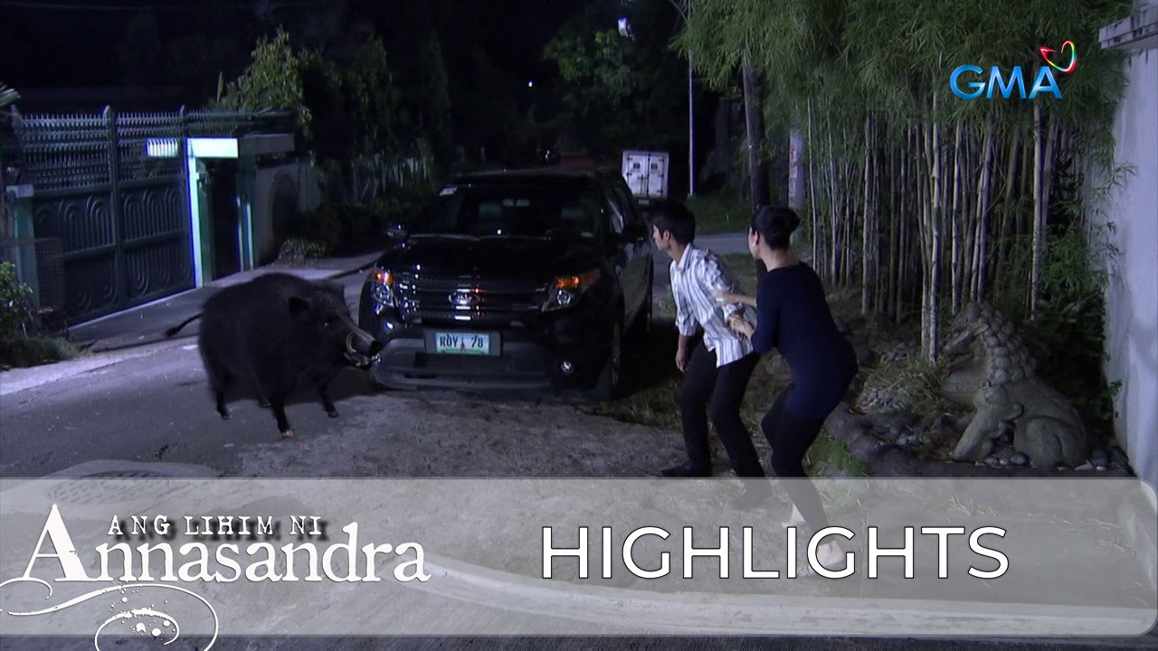 Ang Lihim ni Annasandra: Enrico attacks again! | Episode 61