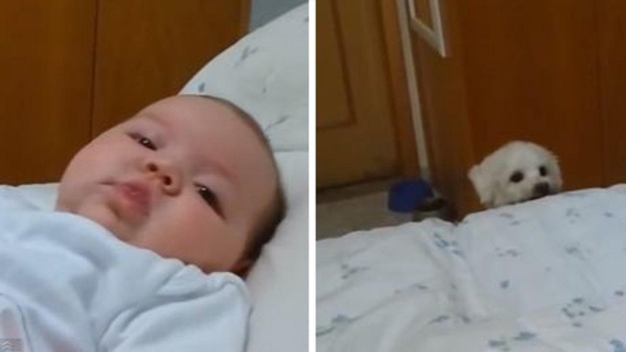 Ce bébé attire beaucoup l'attention depuis qu'il est né. Et il va avoir un visiteur surprise adorable.