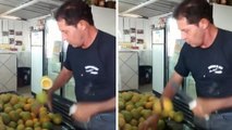 Cet homme a une technique de ninja pour couper les fruits. Très impressionnant !