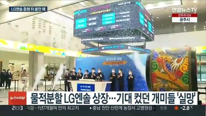 역대급 IPO 뒤 개미 불만…"기관청약 거품 없애야"