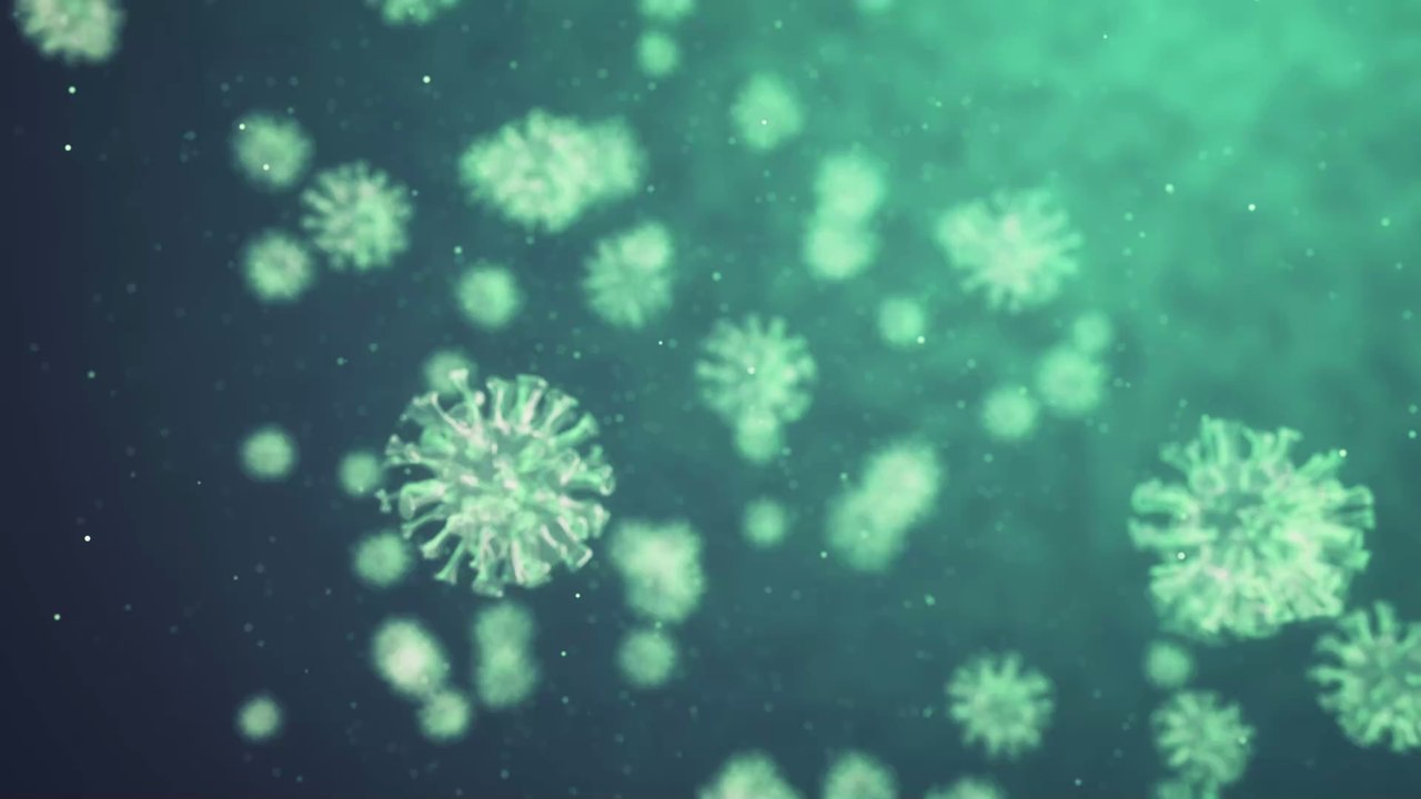 Kader Loth hat Corona: 'Angst und Panik, dass ich sterben muss'