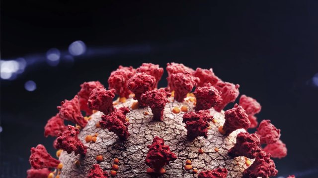 Corona-Studie: So schwer schädigt Covid-19 unsere Organe - und nicht nur die Lunge!