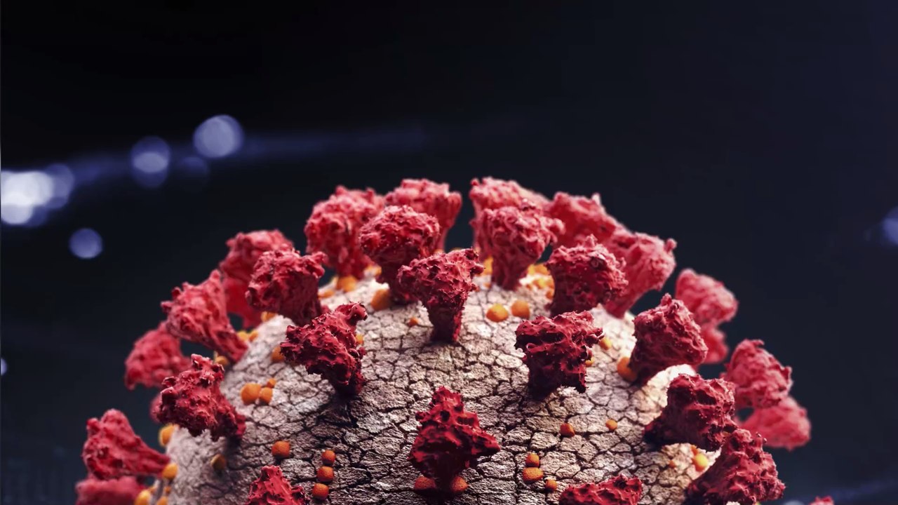 Corona-Studie: So schwer schädigt Covid-19 unsere Organe - und nicht nur die Lunge!