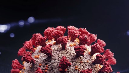 Corona-Studie: So schwer schädigt Covid-19 unsere Organe - und nicht nur die Lunge!