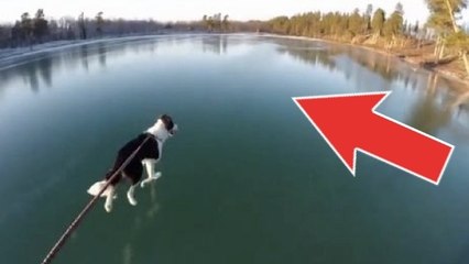 En Suède, ces gens font du patin à glace sur un lac totalement transparent. Des images magnifiques !