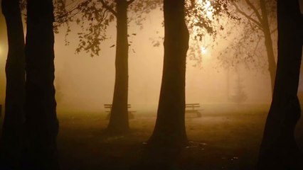 50 Jahre später: Nachricht vom Zodiac-Killer endlich entschlüsselt