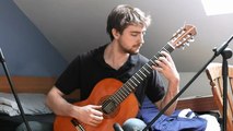 Il reprend la musique du Seigneur des Anneaux à la guitare. Le résultat est magnifique