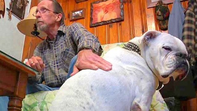 Ce chien est un véritable héros. Il a sauvé la vie de son maître d'une manière incroyable !